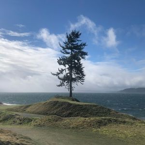 Meet your Posher, Peter